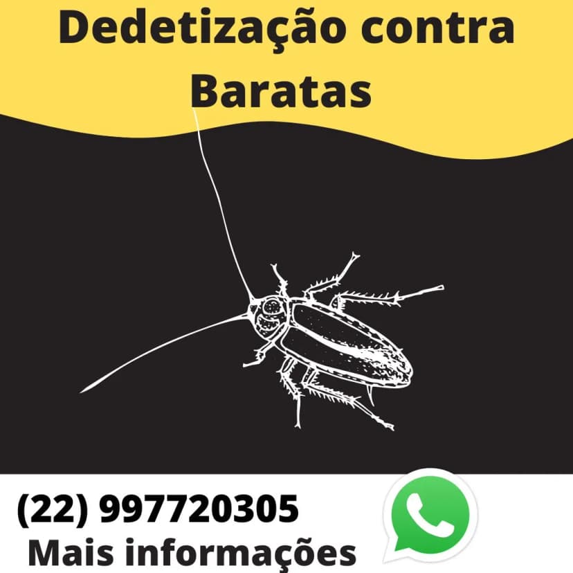 Dedetização contra baratas