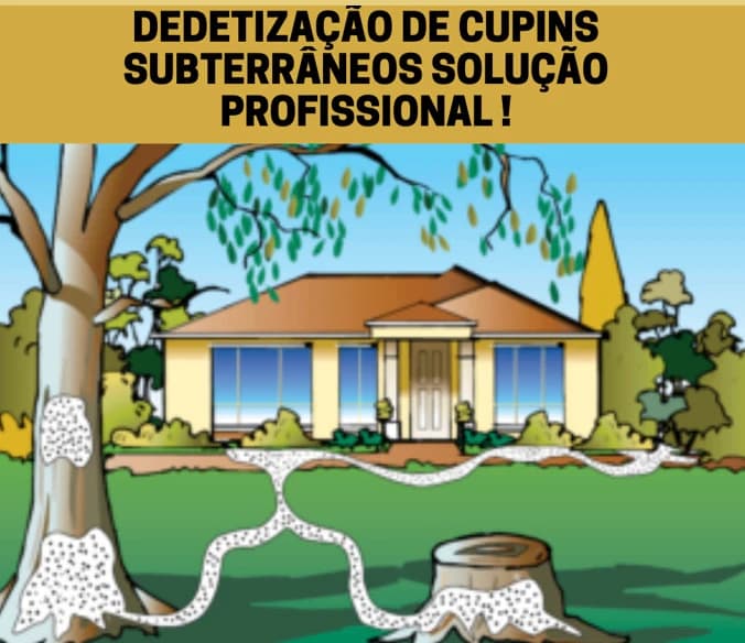 Desinsetização de cupins subterrâneos solução profissional